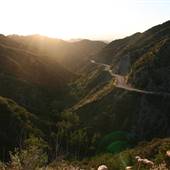 Angeles National Forest