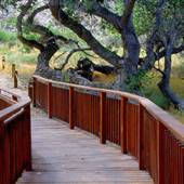 Canebrake Ecological Reserve - California Department of Fish and Wildlife (CDFW)