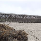 Pudding Creek Trestle