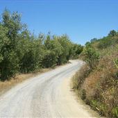Blue Rock Road