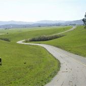Cougar Mountain Drive