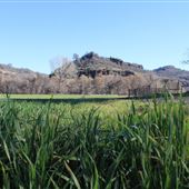 Meadowbrook Ranch