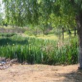 Lema Ranch Trail