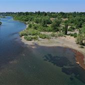 American River