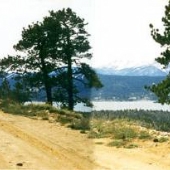 Forest Service Road 2N71 East of Lookout