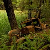 Mendocino Woodlands State Park (SP)
