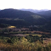 Galante Vineyards