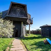 The Mushroom House