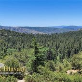 Idyllwild Nature Center - Forest