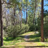 Idyllwild Regional Park