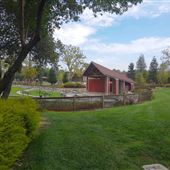 Rocklin