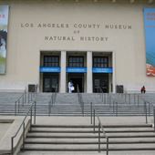 Museum of Natural History, Los Angeles