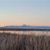 Sutter Bypass Wildlife Area