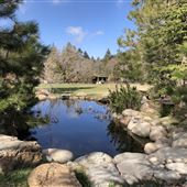 Spectacular Equestrian Ranch Style Estate