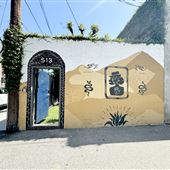 Virgo Salon