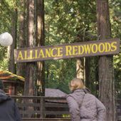 Alliance Redwoods Conference Grounds
