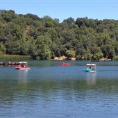 Lake Ralphine