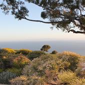 Catalina View Gardens aka Point View