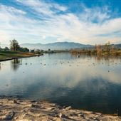 Prado Regional Park