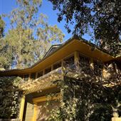 The Treehouse Studio City