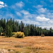 Washoe Meadows State Park (SP)