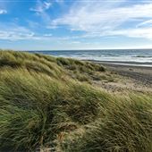 Tolowa Dunes State Park (SP)