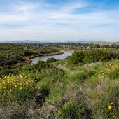 Peters Canyon Regional Park