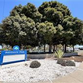 Stevenson Park - City of Carson