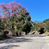 Commonwealth Canyon Drive, Vista Del Valle Drive - Vermont Canyon Road