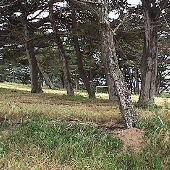 Locke Paddon Park