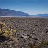 Panamint Dry Lake - BLM