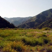 Mountain Property of Social Model Recovery System - Private Property