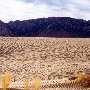 Olancha Sand Dunes - Bureau of Land Management - California Desert District - Ridgecrest Field Office - BLM - Off Highway Vehicle Area - OHV