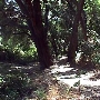 Paramount Ranch - National Park Service (NPS)