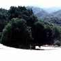 Placerita Canyon State Park (SP) / Placerita Canyon Natural Area / Placerita Nature Center