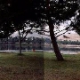 Avocado Lake