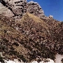Three Sisters Rock