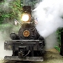 Roaring Camp Railroad