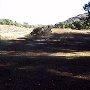 Rocky Oaks - National Park Service (NPS)