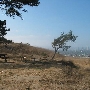 Baldwin Hills Scenic Overlook State Park (SP)