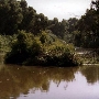 Santa Ana River within the Hidden Valley Wildlife Area