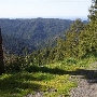 Branscomb Road