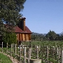 Goldeneye Winery, Vineyard & Landscaped Garderns