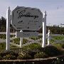 Goldeneye Winery, Vineyard & Landscaped Garderns