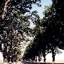 Shoreline Drive
