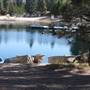 Lake Arrowhead