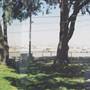 Whiteman Airport