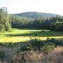 Hodgdon Meadows