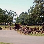 Stoke Ranch