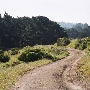 Swanton Pacific Ranch